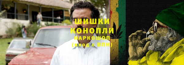 прущие грибы Абаза
