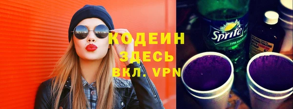 прущие грибы Абаза