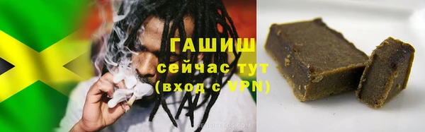 прущие грибы Абаза