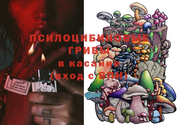 прущие грибы Абаза