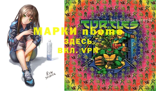 прущие грибы Абаза
