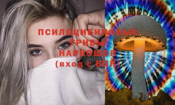 mix Калининец