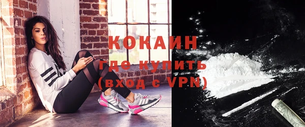 прущие грибы Абаза