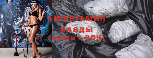 прущие грибы Абаза
