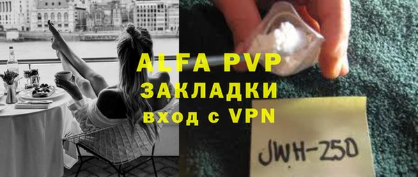 прущие грибы Абаза